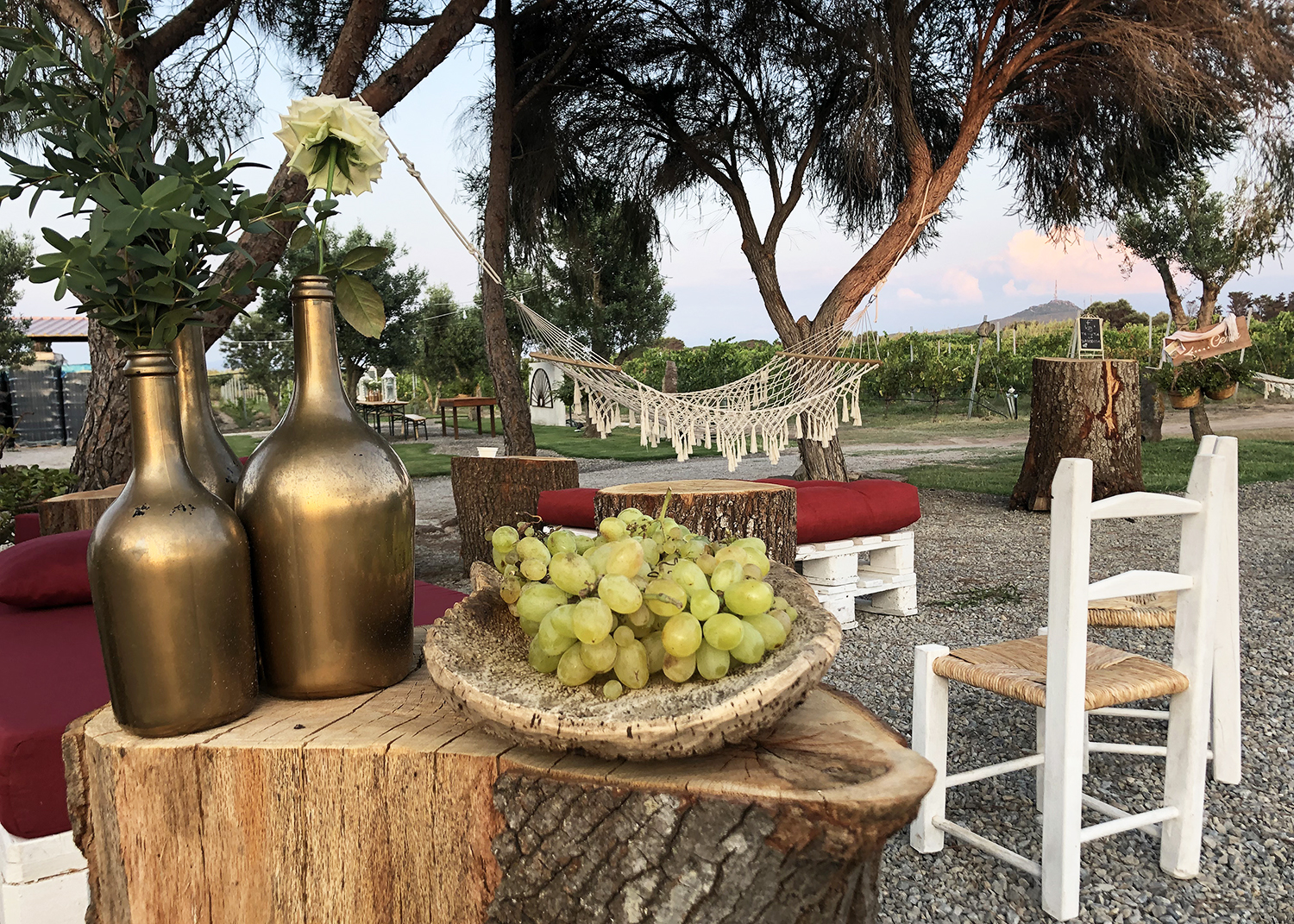 Cantina - Tenuta La Sabbiosa