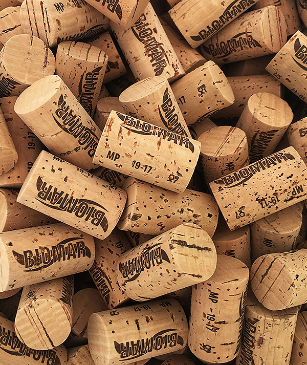 Sustainability: vineyards organic certified - Tenuta La Sabbiosa